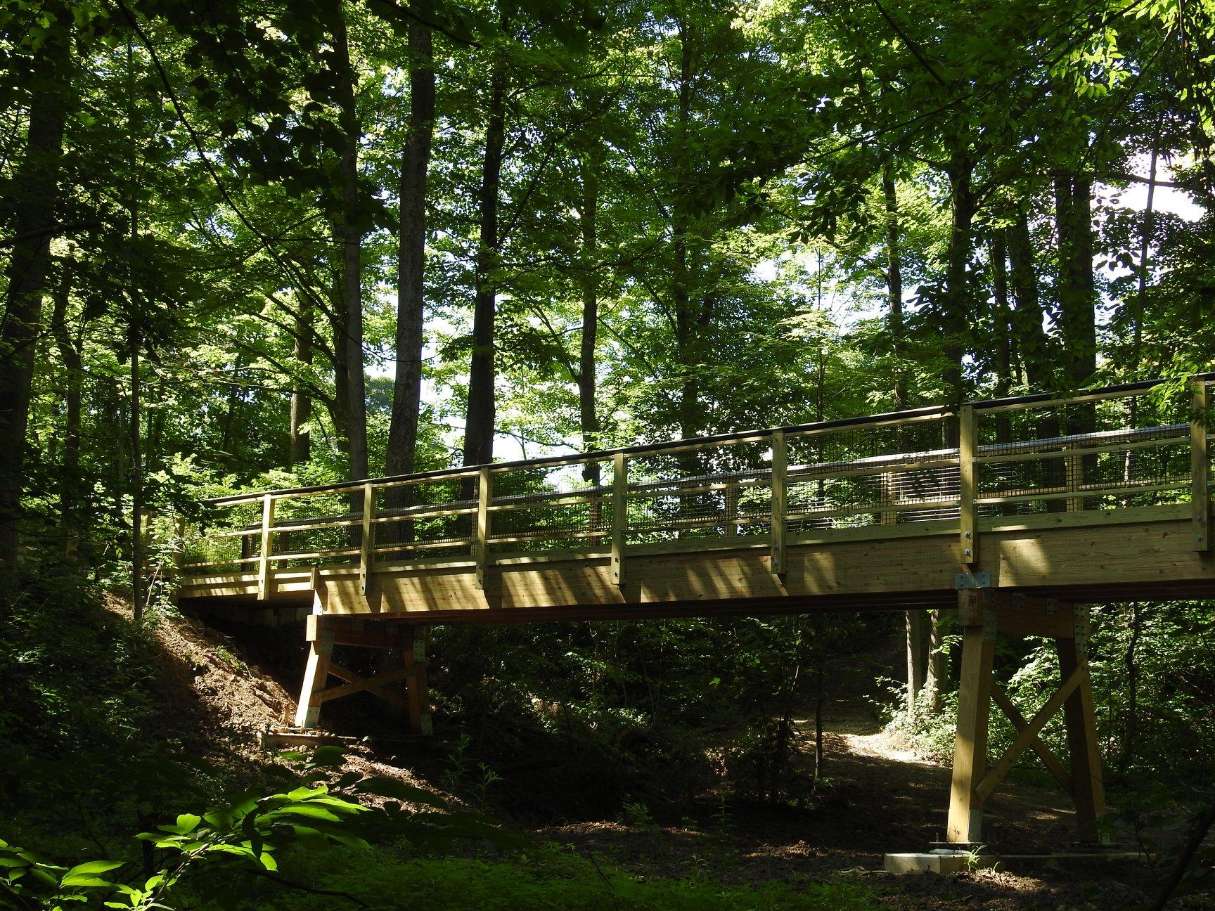 A bridge in the woods of the Nature Center property